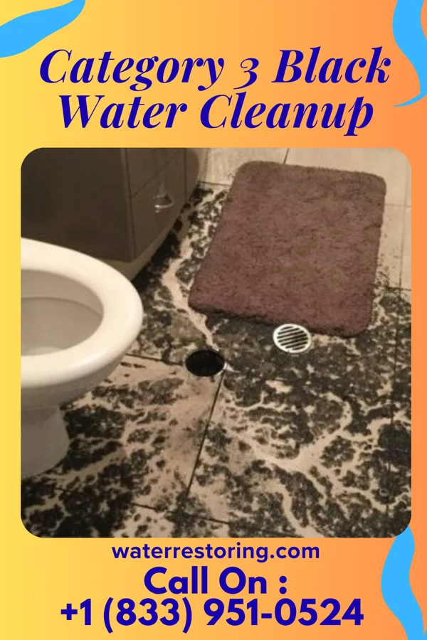 Category 3 Black Water Cleanup in East Providence, RI