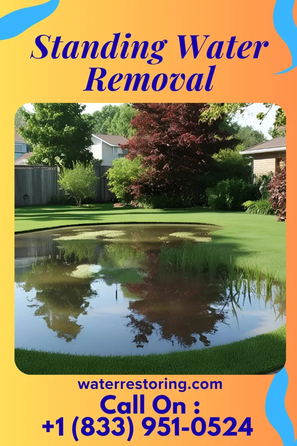 Standing Water Removal in East Providence, RI